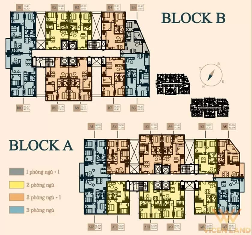 Paris Hoàng Kim - Ảnh 5
