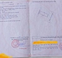 BÁN ĐẤT MẶT TIỀN TRẦN ĐẠI NGHĨA – TRỤC HUYẾT MẠCH KẾT NỐI ĐÀ NẴNG – HỘI AN