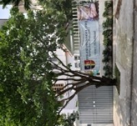 Bán biệt thự Hồ Tùng Mậu 105m2, 4 tầng, vị trí đẹp, phù hợp ở, văn phòng.