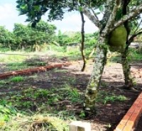 121m2 NGAY DỐC ĐỒN, P BẢO VINH, LONG KHÁNH, ĐN. GIÁ CHỈ 890Tr