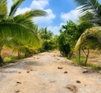 Bán đất chính chủ 300m² (10x30) full thổ cư tại Hựu Thạnh, gần Đại học Tân Tạo, KCN Tân Đức, xe hơi tới đất