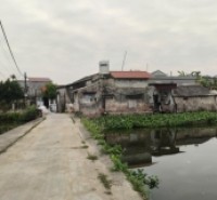 BÁN ĐẤT SƠN ĐỒNG QUỲNH GIAO (NAY LÀ XÃ MINH THỌ, HƯNG YÊN)