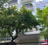 Bán nhà mặt phố Phố Huế, 140m2, 10 tầng 2 hầm, mặt tiền 7.2m, 159 tỷ, vỉa hè rộng, KD đỉnh