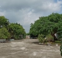 Bán đất Phường đại yên, TP Hạ Long, Tỉnh Quảng Ninh : DT 180m2