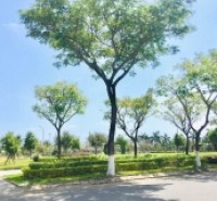 NHÀ ĐẸP 3 TẦNG NGAY CÔNG VIÊN THANH NIÊN, ĐƯỜNG HOÀNG DƯ KHƯƠNG, KHUÊ TRUNG, CẨM LỆ, ĐÀ NẴNG