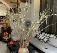 Nhà đẹp 4 tầng HXH Quang Trung P11– Gò Vấp, 67m², cho thuê 144 triệu/năm, 7xT.ỷ TL!