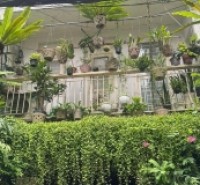 **Bán nhà HXH Trương Công Định** p14 Tân Bình; 4,2*23, 2 tầng