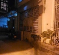 Gốc đề minh khai bán 74M tặng nhà hoàng mai