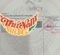 Lô góc đẹp không quy hoạch tại Tổ 9 Xuân Diệu, Hòa Nghĩa - Cơ hội đầu tư và an cư lý