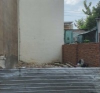 Đất hẻm 350/56/2 Nguyễn Văn Lượng, Phường 16, Gò Vấp, Hẻm 3,5m, 4,5x10,85m, Cn 48,4 m2, 4,85 tỷ TL