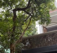 Nhà hẻm 306/4 Thống Nhất, Phường 16, Gò Vấp, Hẻm 3,5m, 4,35x17,5m, Cn 61 m2, trệt 3 lầu, ST, 8PN, 8WC, Nội thất, Thu nhập 25tr/tháng, Đã Full phòng, 4,97 tỷ Chốt