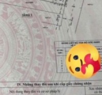 Nhà hẻm 310/38 Phạm Văn Chiêu, Phường 9, Gò Vấp, Hẻm 6m thông, 4x26m, Cn 102,3 m2, Cấp 4, 8,9 tỷ TL