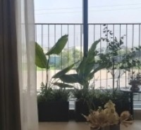 Nhà đầu tư thông minh luôn tìm tài sản 