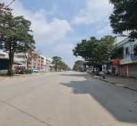 123m2 đất tái định cư Trâu Quỳ, Gia Lâm, Hà Nội. Mt 6m, đường trục chính, giá đầu tư. Lh 0989894845