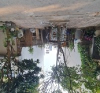 234m2 Khu đấu giá 31ha, Trâu Quỳ, Gia Lâm. Mt 12m. Đường 15m.  3x tiểu học. Lh 0989894845