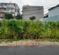 Bán Lô Đất Biệt Thự 2 Mặt Tiền Đường Số 3 Hiệp Bình Phước - Thành Phố Thủ Đức