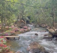 Đất nền Đà Lạt bán cắt lỗ, vị trí đẹp, phù hợp làm nhà kính, Homestay cho thuê.