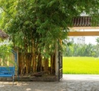 Cơ hội vàng để sở hữu căn Homestay rộng 400m2 nằm trên phường Cẩm Thanh Hội An Đà Nẵng