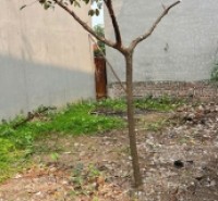 Bán đất tổ 7, Quang Minh, Mê Linh. Gần đường Võ Văn Kiệt và khu công nghiệp