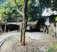 Bán đất Thạch Cầu, Long Biên 215m MT 10 giá 15 tỷ, KD, phù hợp xây biệt thự sân vườn, nhà dòng tiền.