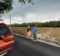 Đất nền giá rẻ sổ sẵn Định An, Dầu Tiếng, TP. Hồ Chí Minh giá từ 2  triệu/m2
