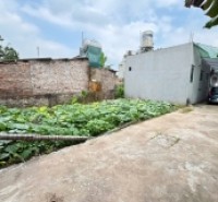 Bán 50,5m đất thôn Tráng Việt, xã Tráng Việt, Mê Linh. Đón sóng cầu Thượng Cát