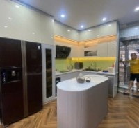 Bán nhà Hồng Tiến Long Biên -Kinh Doanh- ô tô tránh Dân xây 115m 5 tầng 22.5 tỷ (TL)