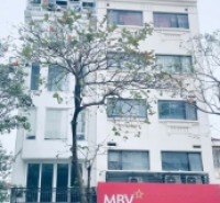SIÊU PHẨM TRUNG TÂM QUẬN ĐỐNG ĐA MẶT PHỐ XÃ ĐÀN 
VỈA HÈ 8M FULL THỔ CƯ 
VÀ MỘT MẶT NGÕ - VỊ TRÍ DUY NHẤT MỘT CĂN BÁN - TOÀ NHÀ VĂN PHÒNG XÂY MỚI 100%