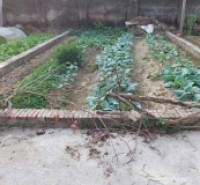 Bán đất Tráng Việt - Mê Linh - HN. Full thổ cư, oto đỗ. Gần cầu Thượng Cát. Cơ hội đầu tư đẹp