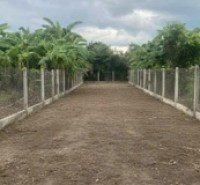 BÁN LÔ ĐẤT VƯỜN TẠI DIÊN KHÁNH, KHÁNH HOÀ