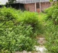 Bán đất Mai Lâm Đông Anh- Hàng xóm Vin Cổ Loa- Trục lên Cầu Tứ Liên- oto- 50m-5,x tỷ