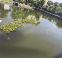 Bán Biệt Thự 3 Tầng 2000 M sân Vườn Đồ Sơn Hải Phòng