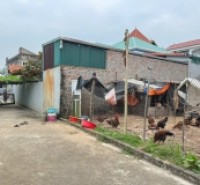 Bán nhanh 107m đất Hoàng Kim, Mê Linh. Ngay chân cầu Hồng Hà, đường Vành Đai 4