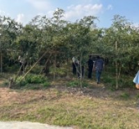 ĐẤT NỀN CHŨ BẮC NINH GIÁ 480 TRIỆU  400M2  ĐƯỜNG THUẬN TIỆN  Nguyễn Hùng BĐS - 0989333012