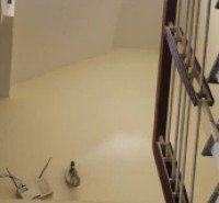 ♥ Kiệt Ô tô 5m Điện Biên Phủ, 50m2, 3 tầng đúc cứng cáp, kinh doanh giá đầu tư 4.xx tỷ