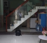 Nhà 2 tầng kiệt Lê trọng Tấn.