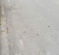 Bán nhà vị trí đẹp ngõ 48 đường Ngô Gia Tự - Long Biên - HN.