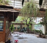 Bán Biệt thự Vườn Gia Quất- Vỉa hè- xe tải tránh nhau- Dân xây-210m mặt tiên rộng-34 tỷ(TL)