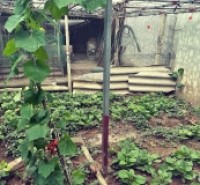BÁN ĐẤT Ỷ LAN ĐẶNG XÁ DT 65M2 VÀI BƯỚC RA Ô TÔ TRÁNH GẦN TRƯỜNG HỌC CÁC CẤP DÂN CƯ ĐÔNG ĐÚC