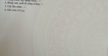 Bán nhà 2,5 tầng đường Hồ Sỹ Dương -  thông Nguyễn Phước Tần