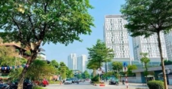 Bán nhà Phân Lô Văn Cao Ba Đình - 190m - Mặt tiền 11m - Phân Lô Xây Văn Phòng - Ô Tô - Gần Phố