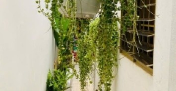 Bán nhà mới 52m² Hoà Hưng – Không gian sáng thoáng, thiết kế hiện đại, giá 6.35 tỷ
