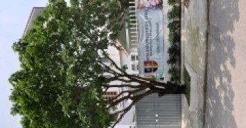 Bán biệt thự Hồ Tùng Mậu 105m2, 4 tầng, vị trí đẹp, phù hợp ở, văn phòng.