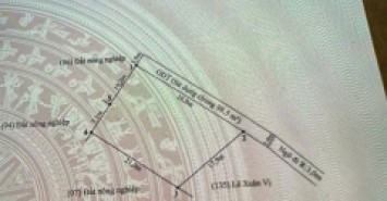 HÀNG KHỦNG HÒA NGHĨA DƯƠNG KINH – 800M² NHÀ VƯỜN – GIÁ 7.X TỶ – ĐẦU TƯ DÀI HẠN  ZALO 0567 222 555