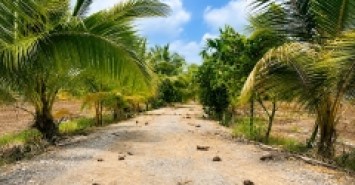 Bán đất chính chủ 300m² (10x30) full thổ cư tại Hựu Thạnh, gần Đại học Tân Tạo, KCN Tân Đức, xe hơi tới đất