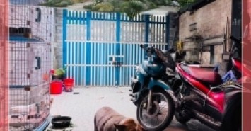 Nhà Quận 8 giáp Quận 1 ngang 5x25 DT 123m2 Nguyễn Thị Tần 11 tỷ 5- 0931172218