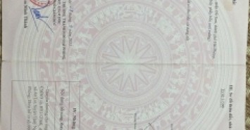 Lô đất lớn 347m² – TDP Đồng Tiến – Bàng La – giá chỉ nhỉnh 10tr/m²  ZALO 0567 222 555