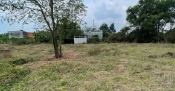 ĐẤT SẴN SỔ 490M² – GIÁ TỐT TẠI TÂN THÔNG HỘI, CỦ CHI – ĐƯỜNG XE HƠI THÔNG THOÁNG