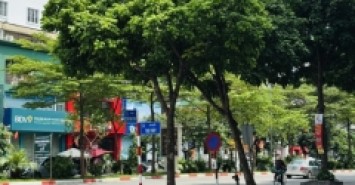 Bán nhà Mặt Phố Gần Công Viên Cầu Giấy - 100m 8 Tầng MT bề thế - Vỉa hè 8m - KDVP