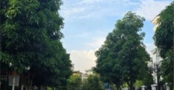 BÁN BT VINHOMES SMART CITY ĐẠI MỖ - NAM TỪ LIÊM - 284Mx4T, MT 16M- ĐẲNG CẤP THƯỢNG LƯU